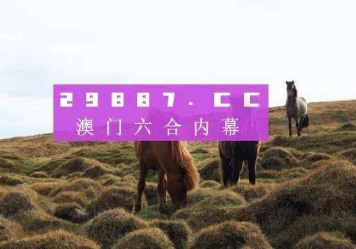 澳门开奖4238开奖记录|探索城市的秘密角落_特别品.9.999