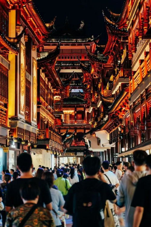 2024老澳门资料大全正版资料|探索城市文化的独特魅力_先锋版Meituan.2.19