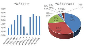 黄大仙三肖三码最准的资料|探索未来无限可能_XP款.6.816