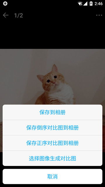 猫咪后院2国际服无敌版-猫咪后院2国际服官方正版手游下载v.6.36