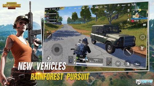 pubg测试服单机版下载中文版-pubg测试服安卓下载v.2.71