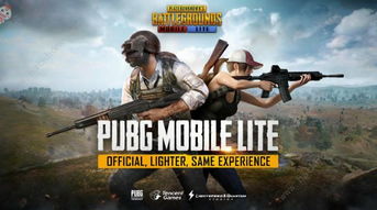 pubg测试服单机版下载中文版-pubg测试服安卓下载v.2.71